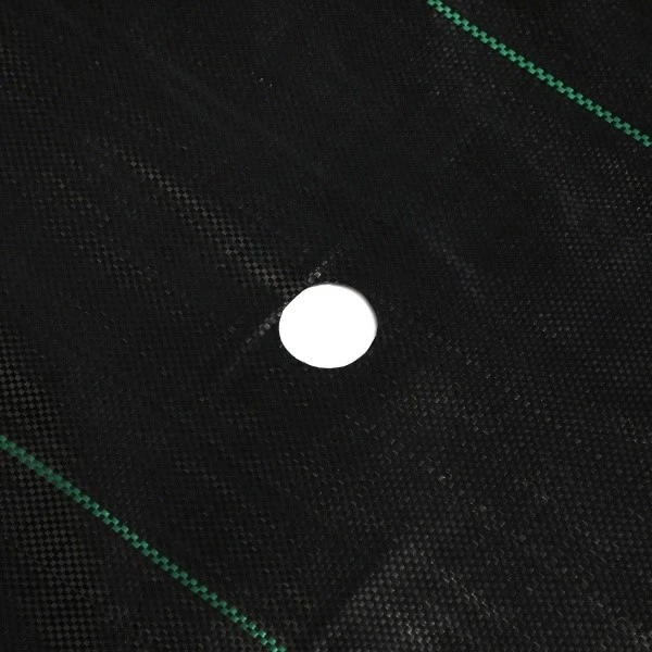 product-600-600 product-600-600