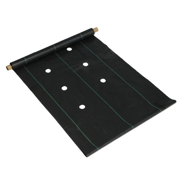 Round Hole Perforated Weed Control Fabric Roll factory Round Hole Perforated Weed Control Fabric Roll factory